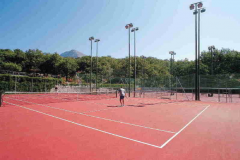 Sport -Tennis